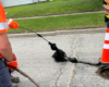 OK Champion S660E Rodder - Cleaning